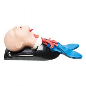 Advanced Trauma Life Support (ATLS)