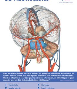 3B NEUROteacher™