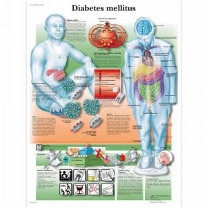 Diabetic Teaching Tools