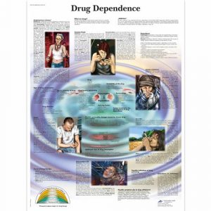 Drug and Alcohol Education