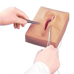 Suturing and Bandaging