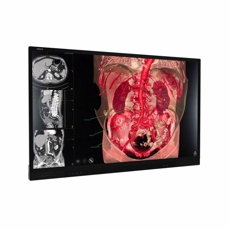 Virtual Dissection Images Virtual Dissection Table Archives - SEM Trainers