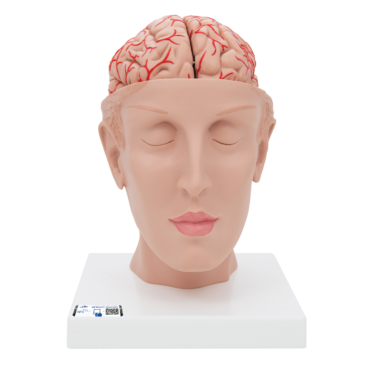 Open head