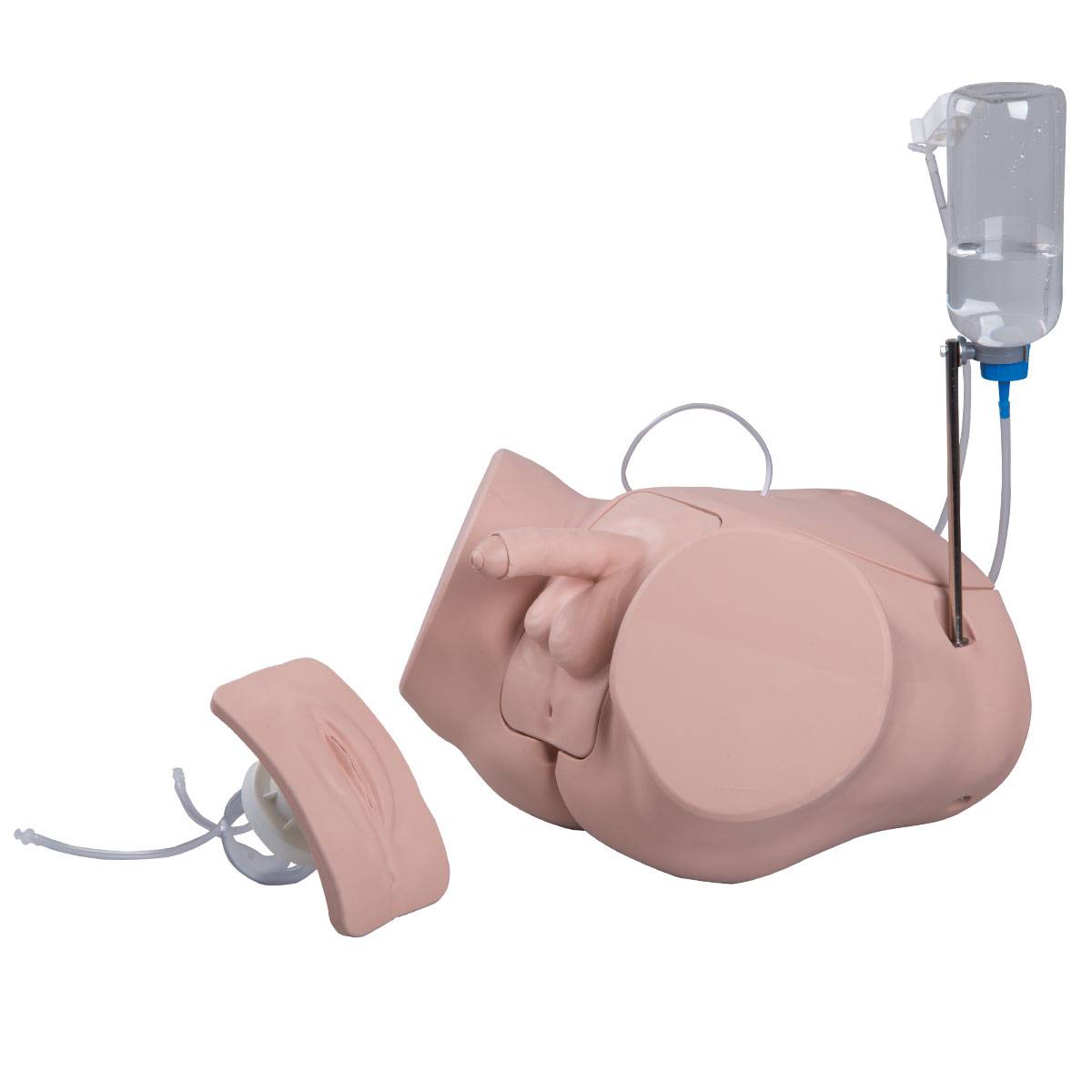Catheterization Simulator Set PRO - Realistic Demonstration, Practice ...