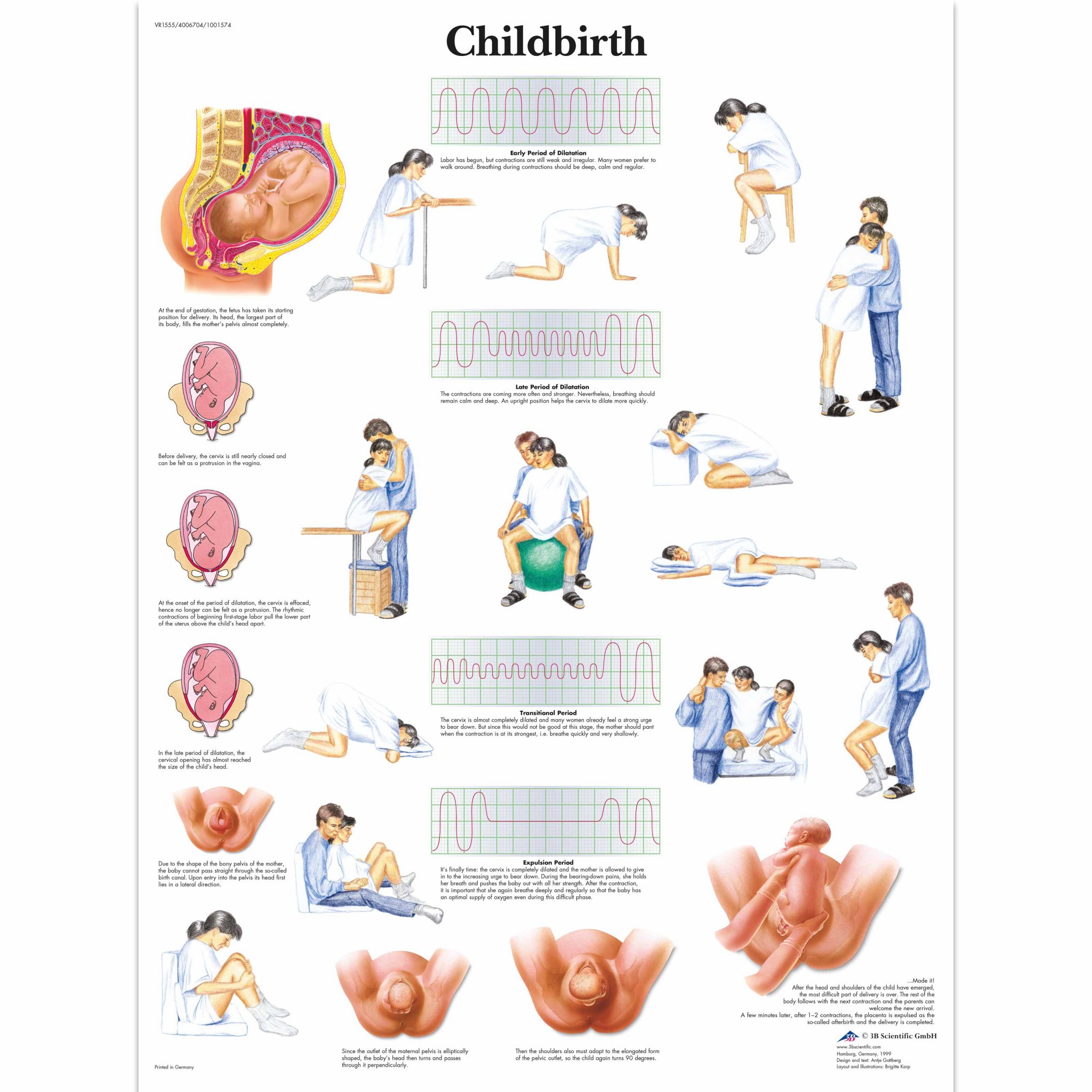 Breastfeeding Chart SEM Trainers