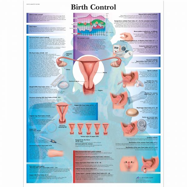 Female Urinary Incontinence Chart - SEM Trainers