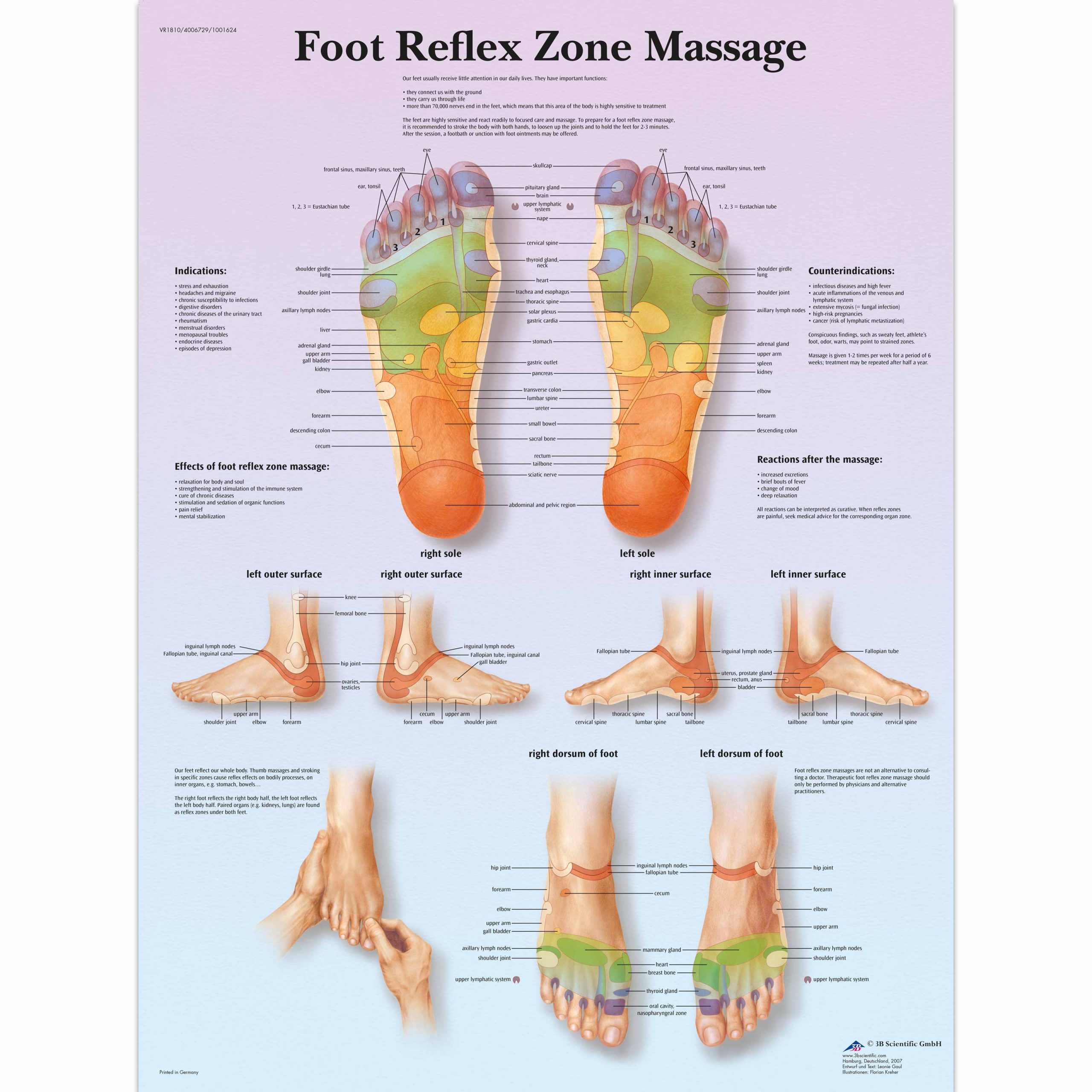 Foot Reflex Zone Massage Chart SEM Trainers
