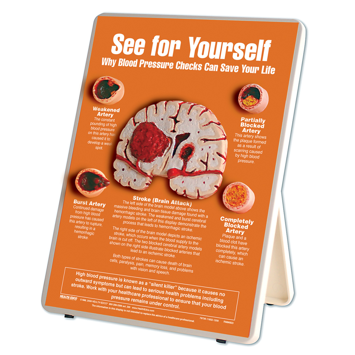 Fun fact about blood. Why blood. Why blood. Why blood. Why blood.