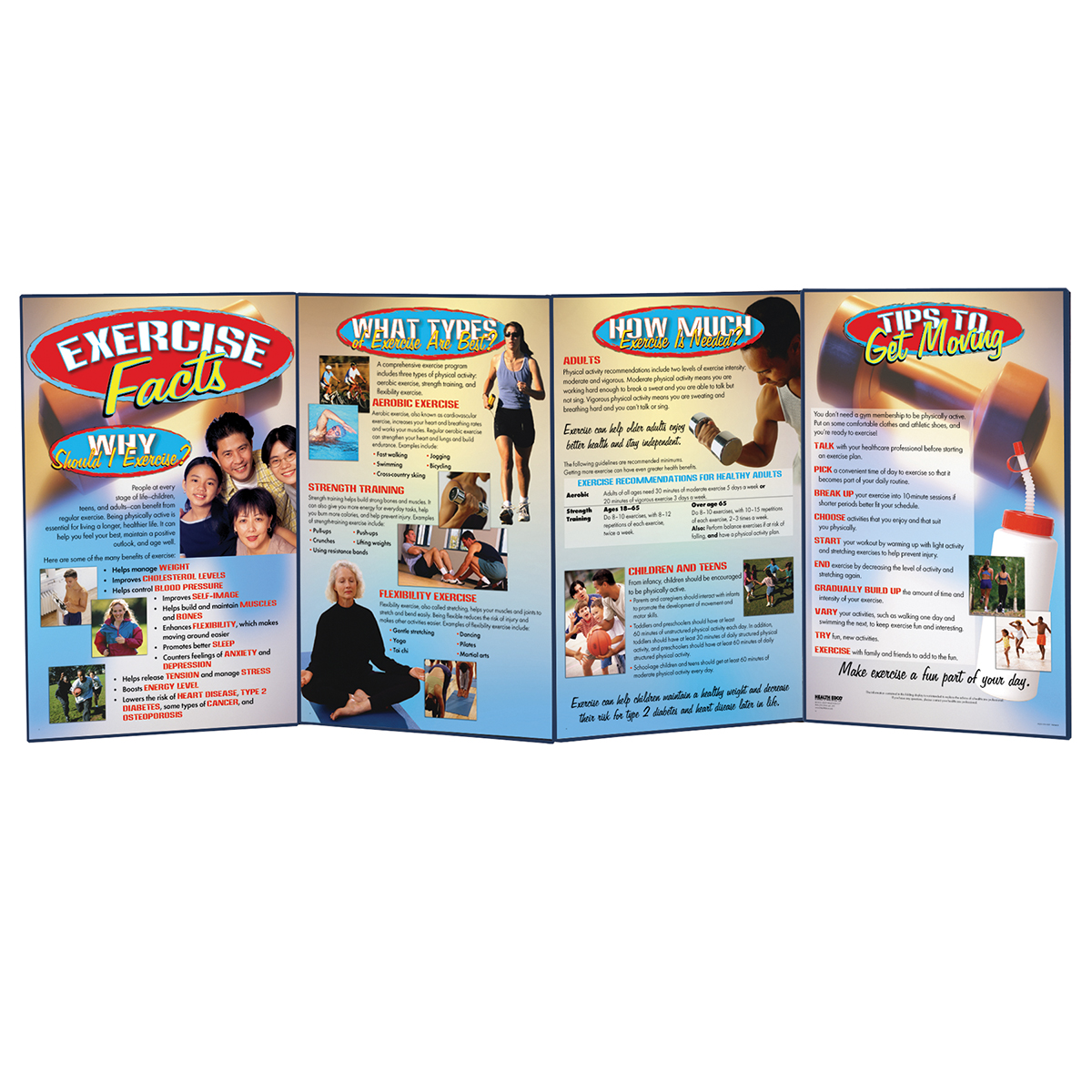 Exercise Facts Folding Display - SEM Trainers