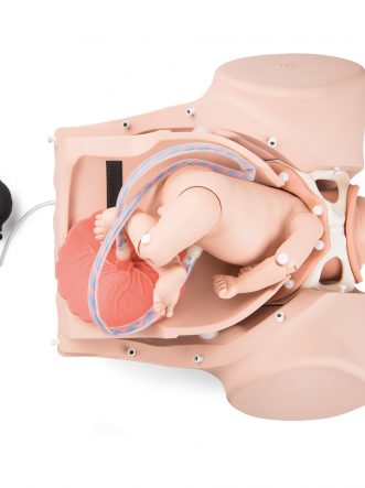 Obstetric Simulators: Minikin Childbirth