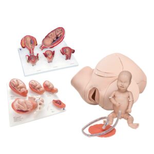 Simulation Kits