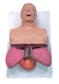 Airway Management Adult