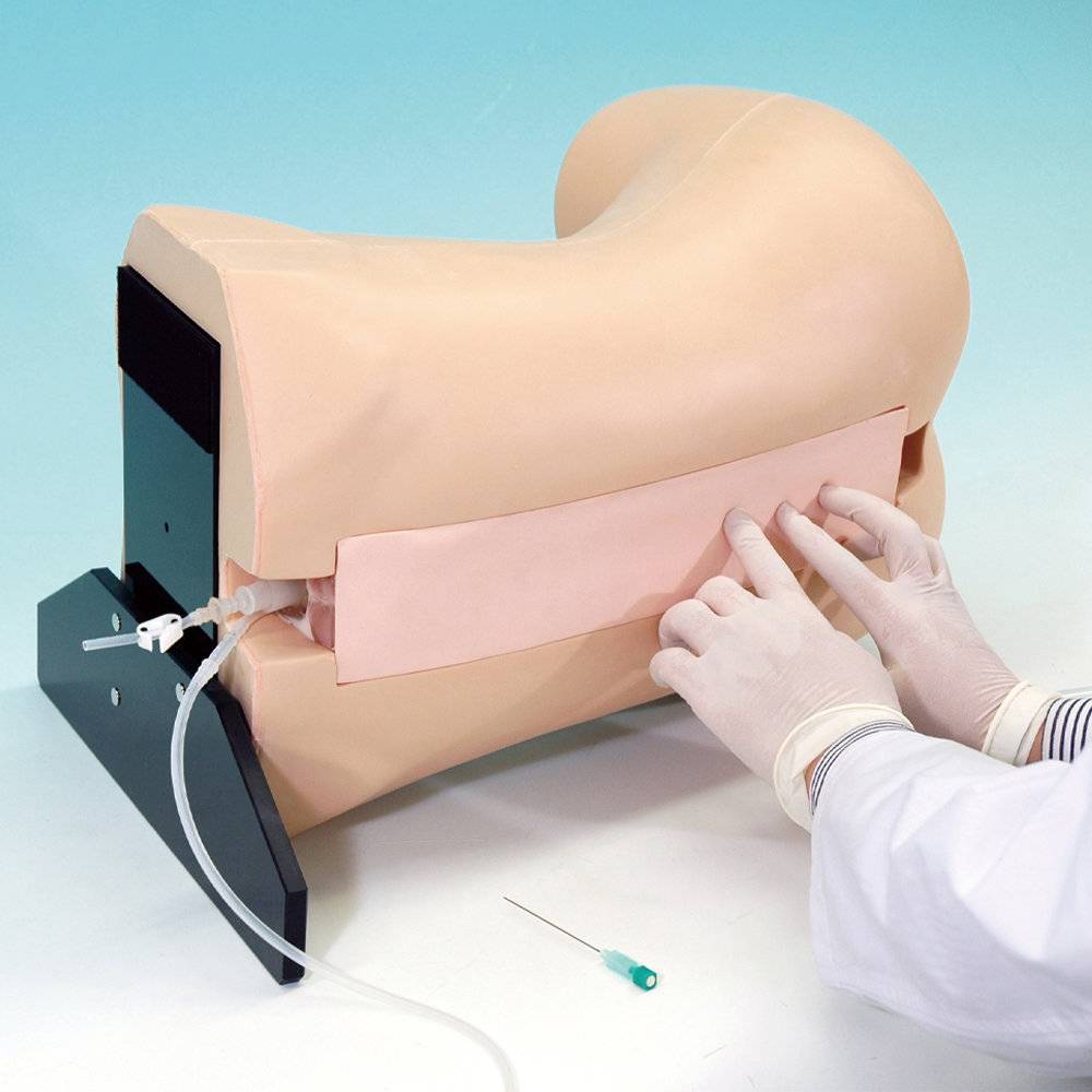 Epidural Anesthesia Simulator - SEM Trainers