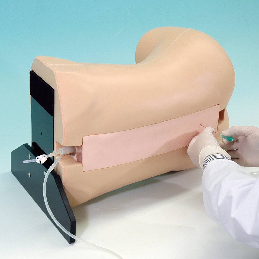 Simulators Anaesthesia Epidural Anesthesia Simulator - SEM Trainers