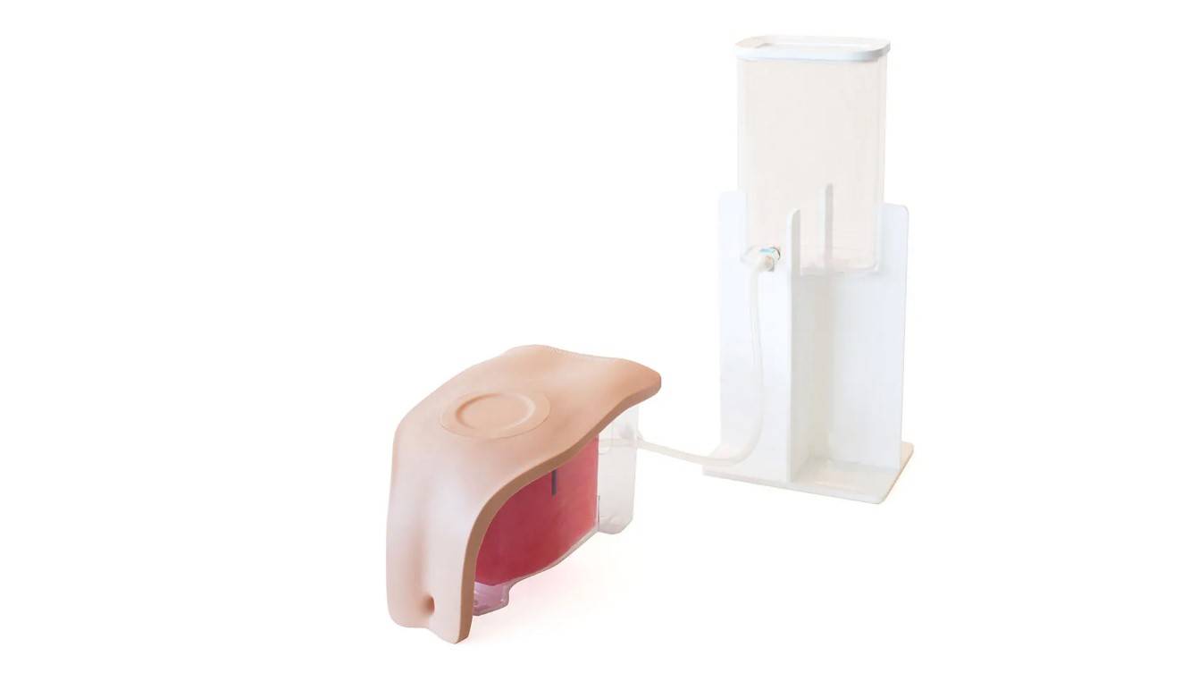 Suprapubic Inner Device Suprapubic Insertion Unit (Ultrasound Guided), Light - SEM Trainers