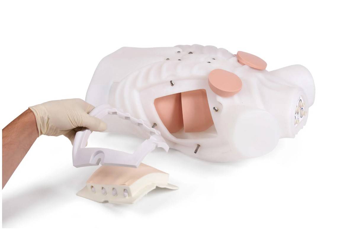 Chest Drain & Needle Decompression Trainer, Light - SEM Trainers
